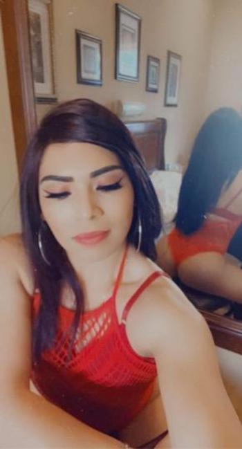 6826108069, transgender escort, Fort Worth